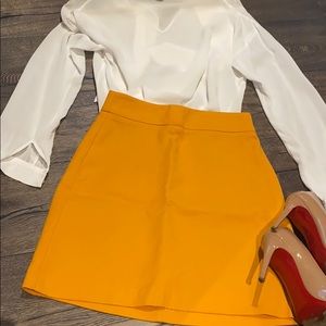 NEW! Zara Mini Skirt